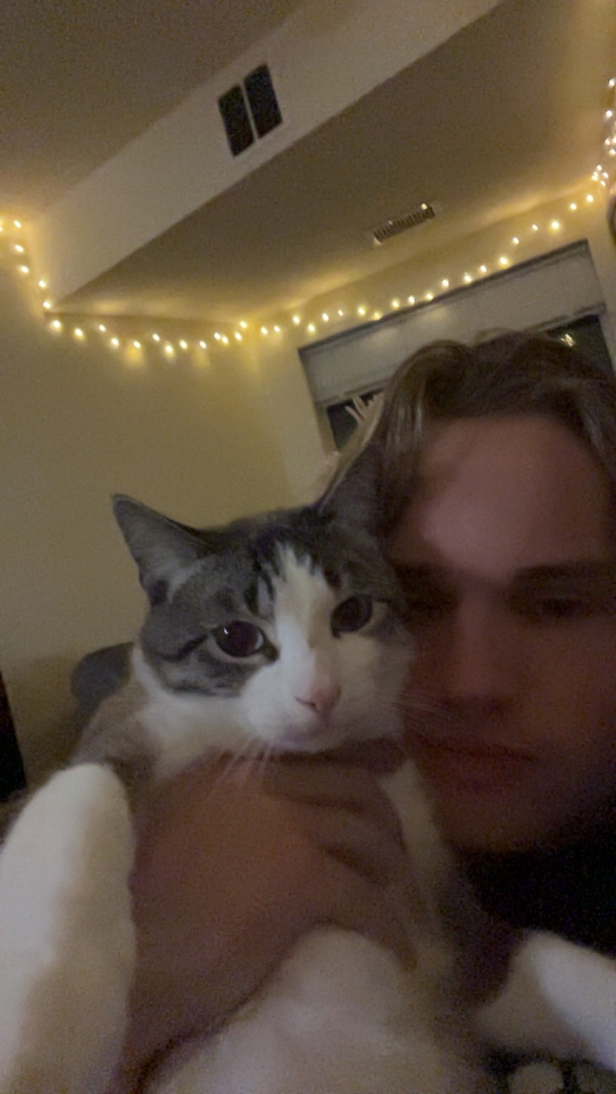 Beck holding his cat Ari under string lights